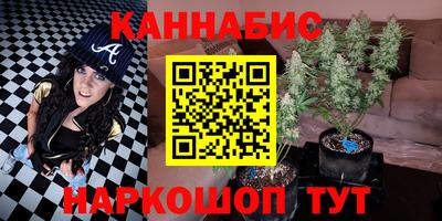 jwh Будённовск